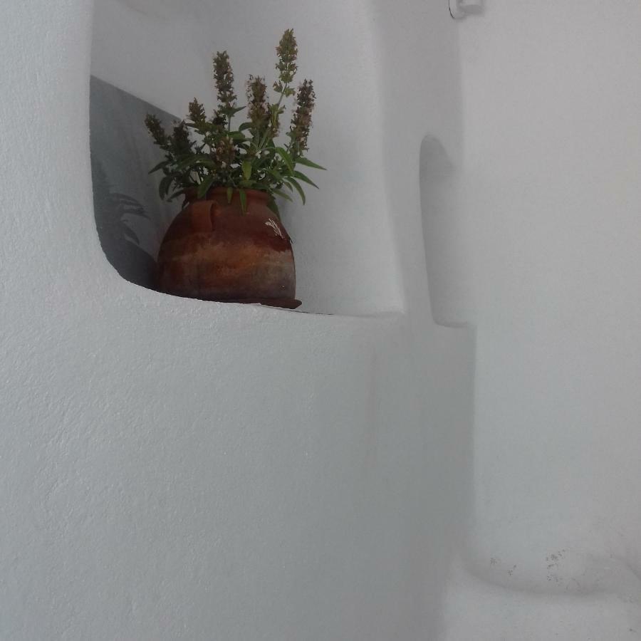 奥丽雅传统洞穴度假屋 Pýrgos 外观 照片